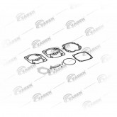 Р / к прокладок з клапанами MAN TGA